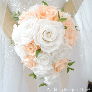 p2006-22-2 p2006-22-2